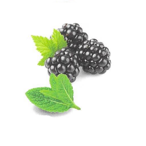 BlackberryMintFruit2