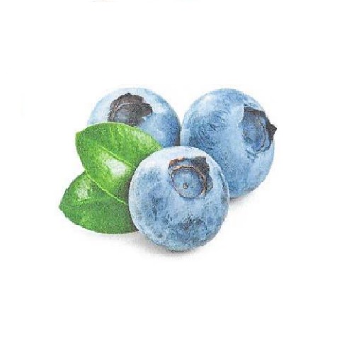 BlueberryFruit2